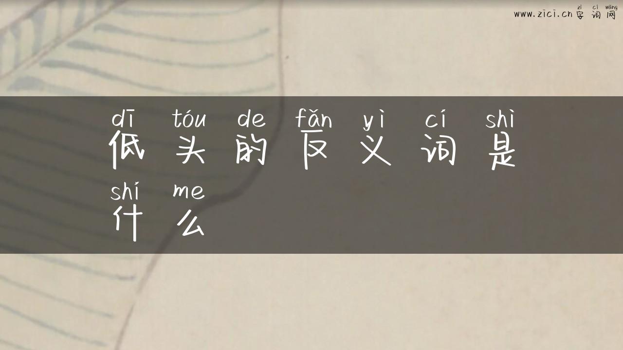 低头的反义词是什么