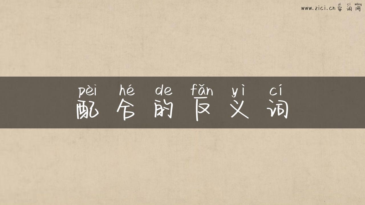 配合的反义词