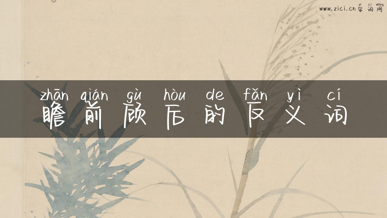 瞻前顾后的反义词