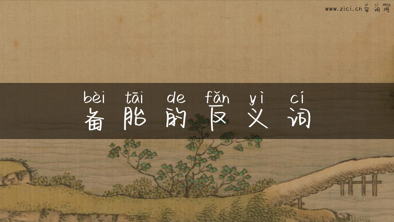 备胎的反义词