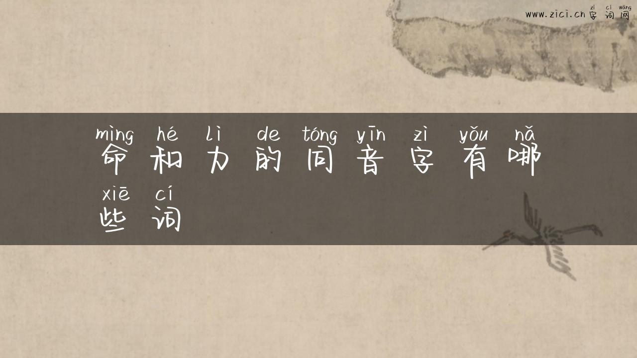 命和力的同音字有哪些词