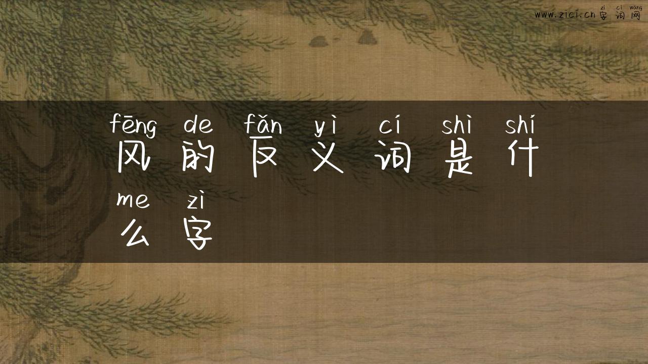 风的反义词是什么字