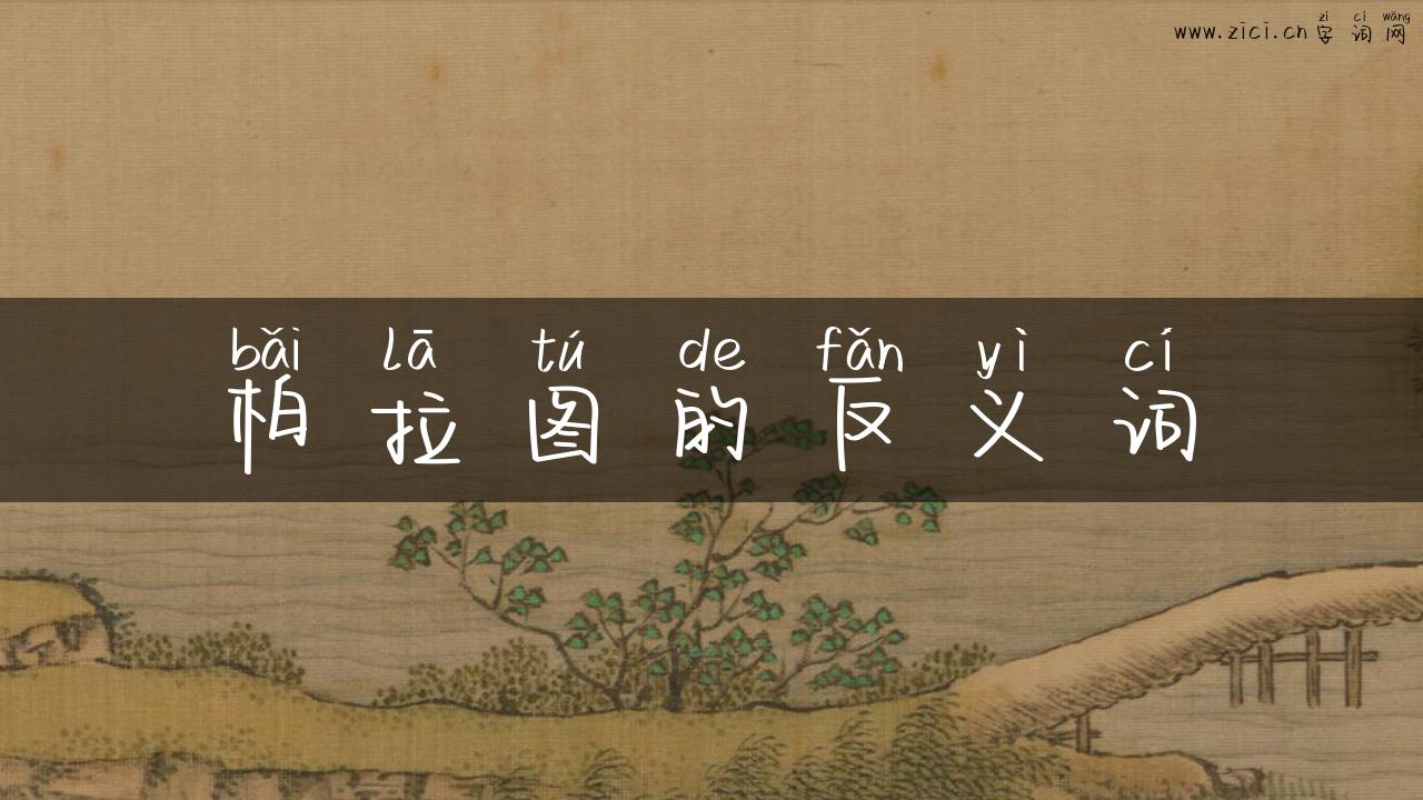 柏拉图的反义词