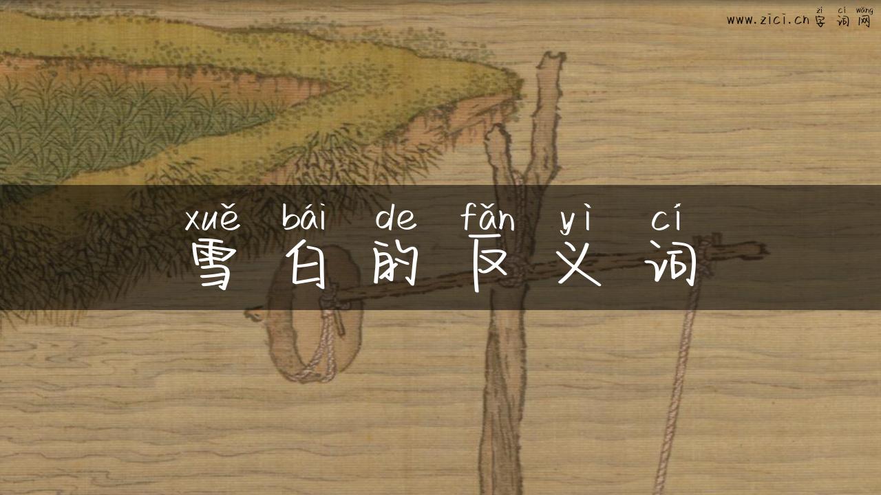 雪白的反义词
