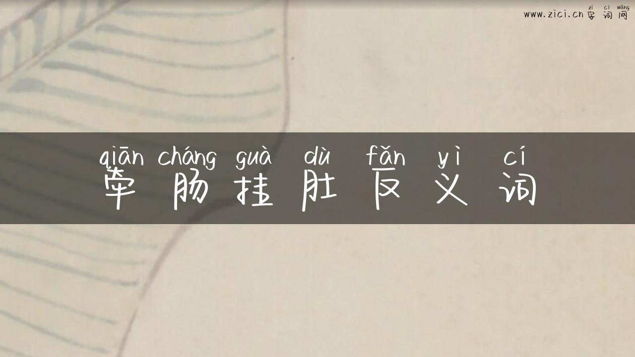 牵肠挂肚反义词