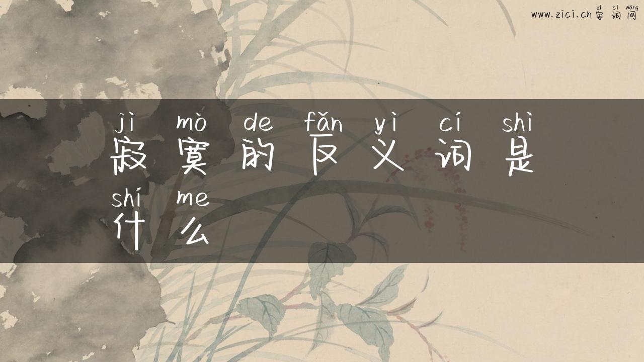 寂寞的反义词是什么