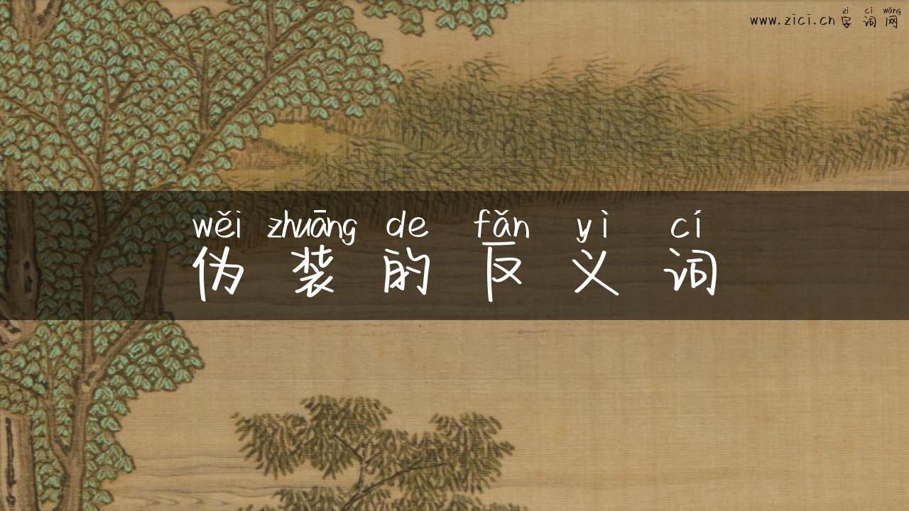 伪装的反义词