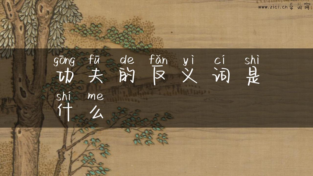 功夫的反义词是什么
