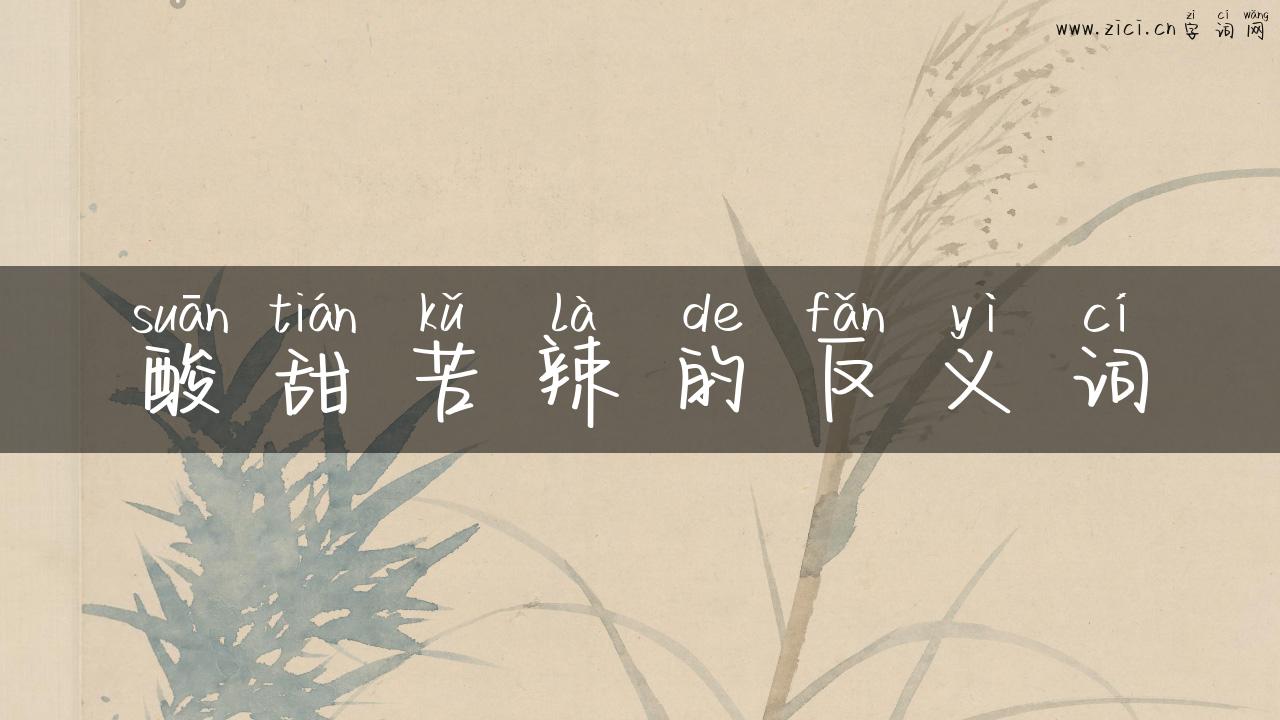 酸甜苦辣的反义词
