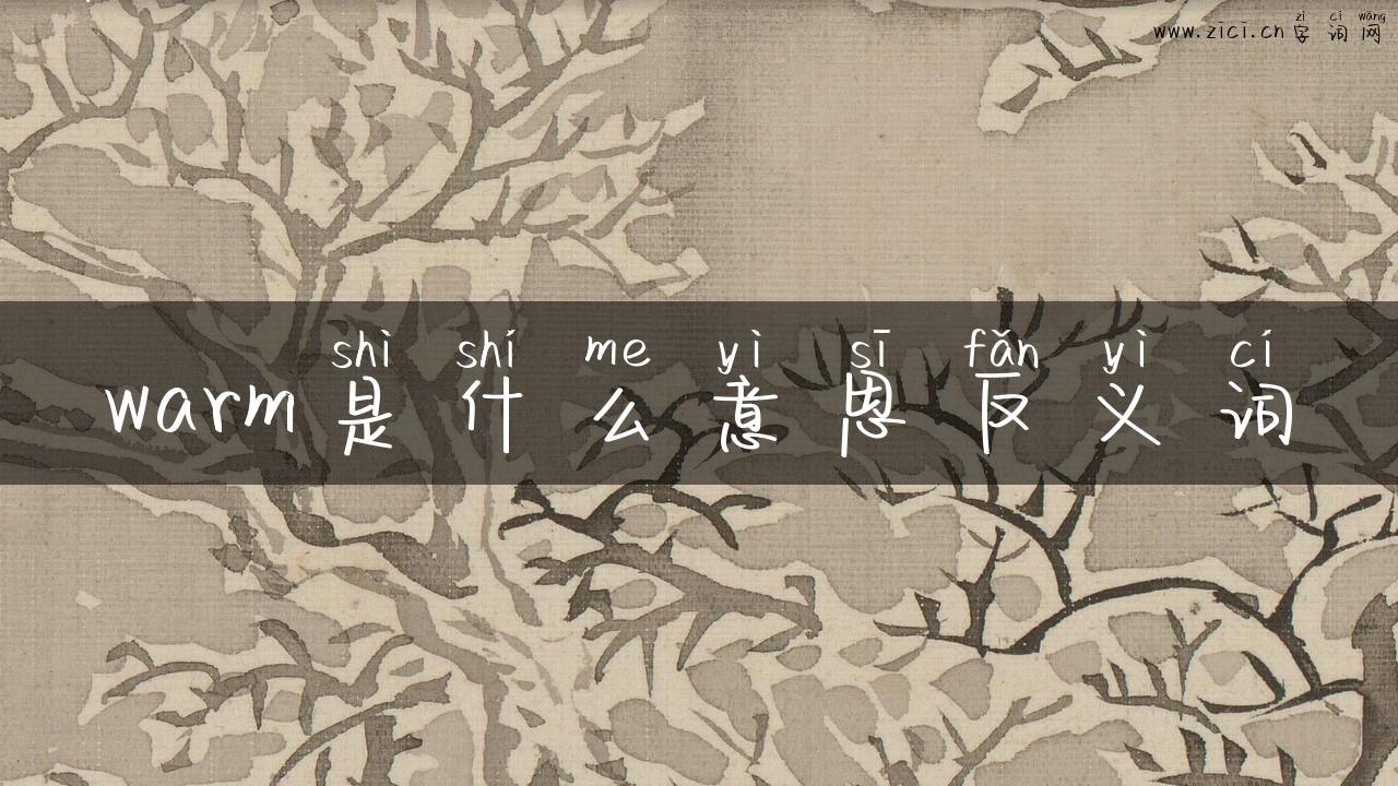warm是什么意思反义词