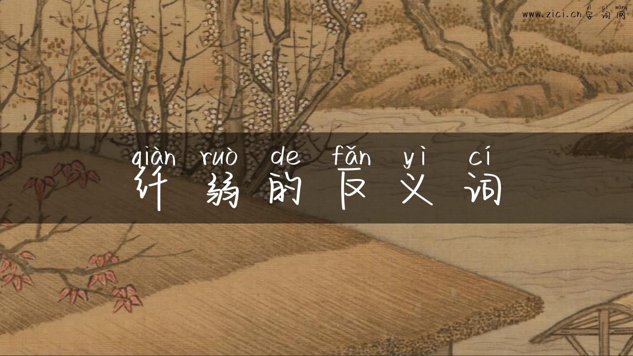 纤弱的反义词