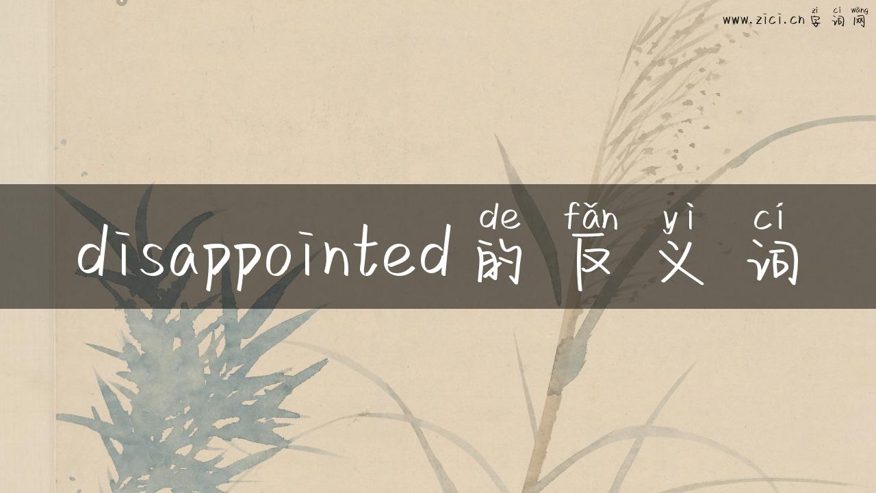disappointed的反义词