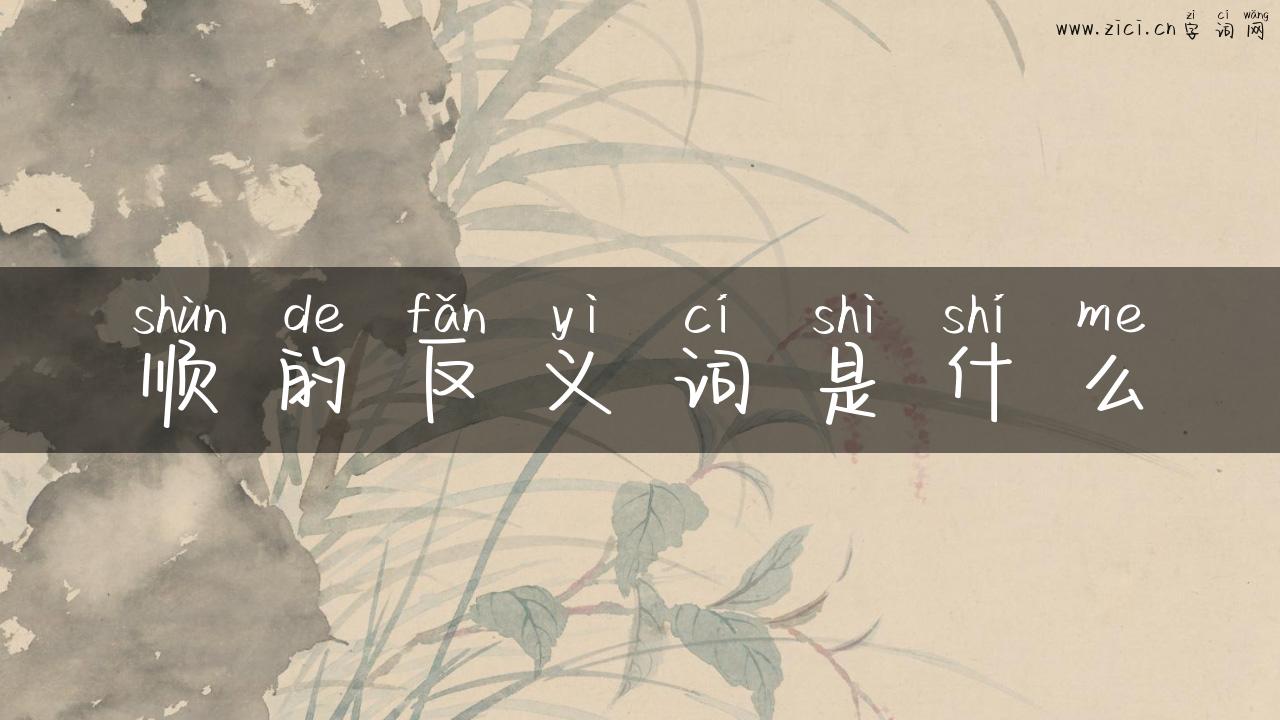 顺的反义词是什么