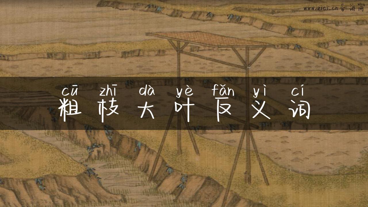 粗枝大叶反义词