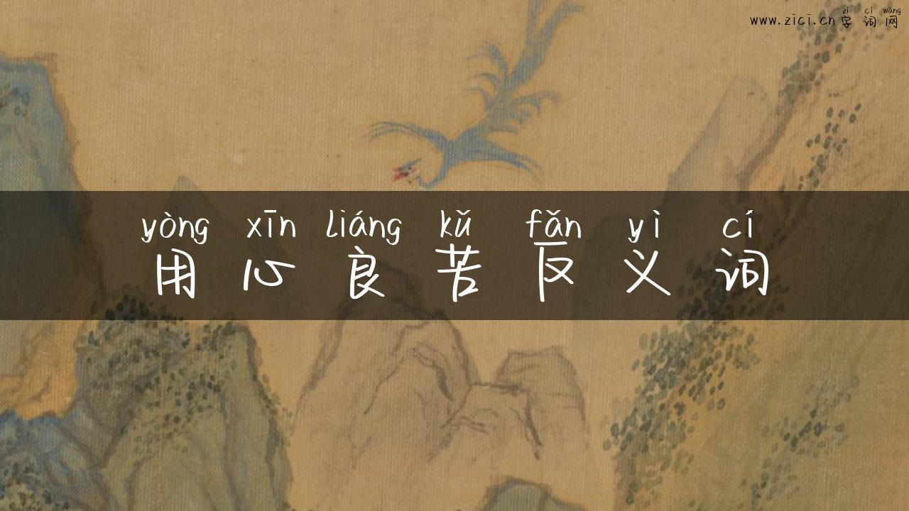 用心良苦反义词