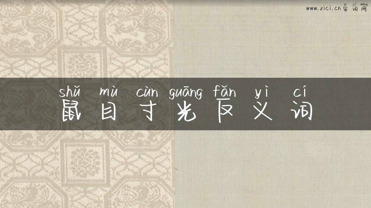 鼠目寸光反义词