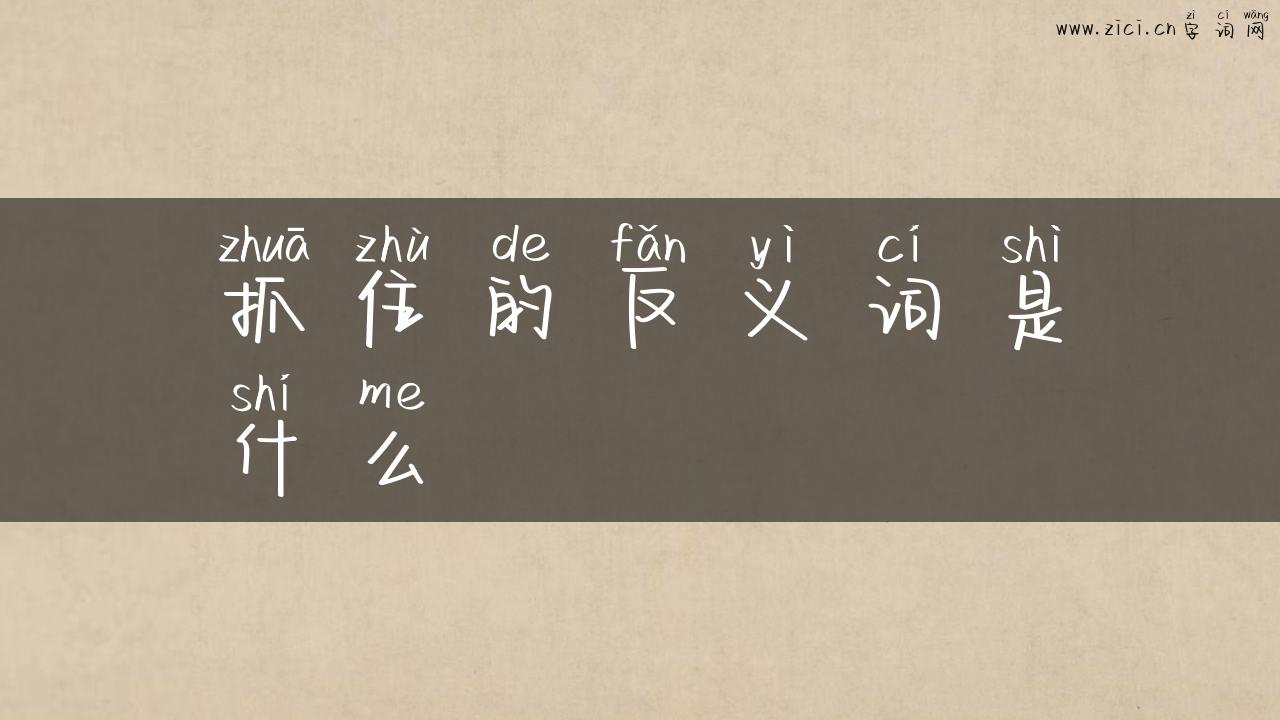 抓住的反义词是什么