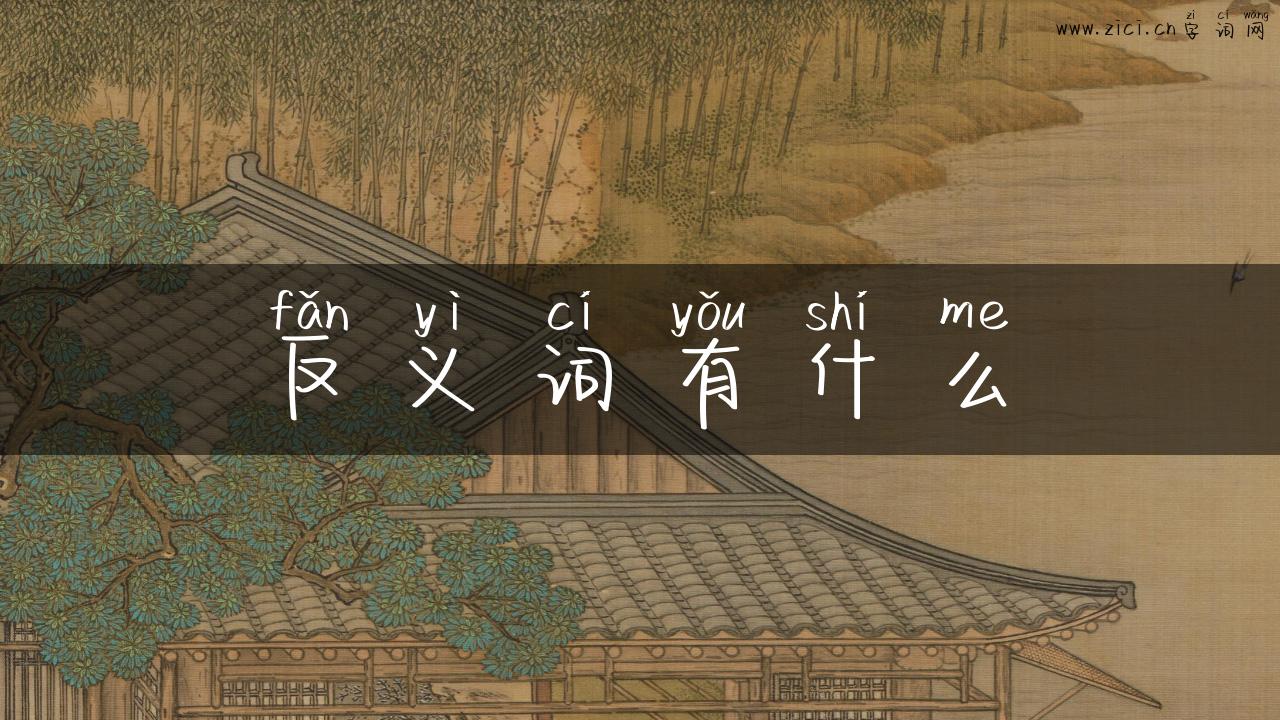 反义词有什么