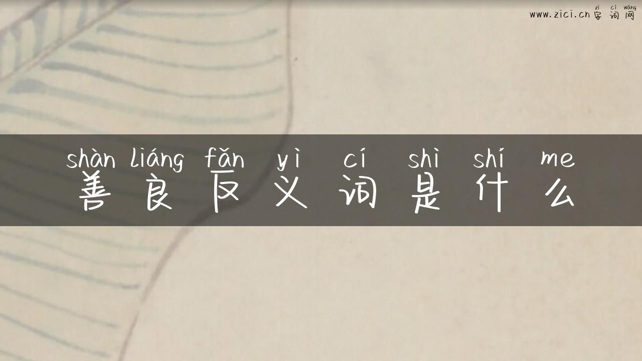 善良反义词是什么