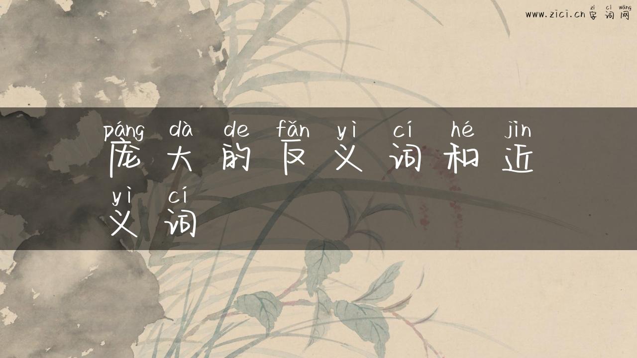 庞大的反义词和近义词