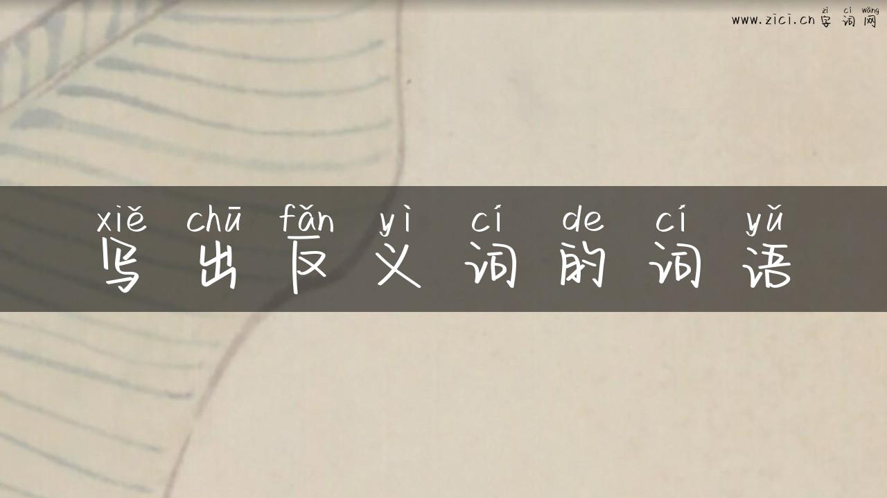 写出反义词的词语