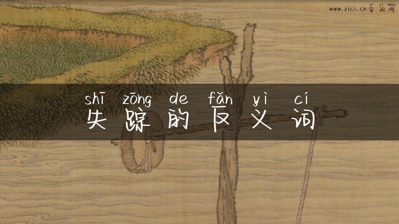 失踪的反义词