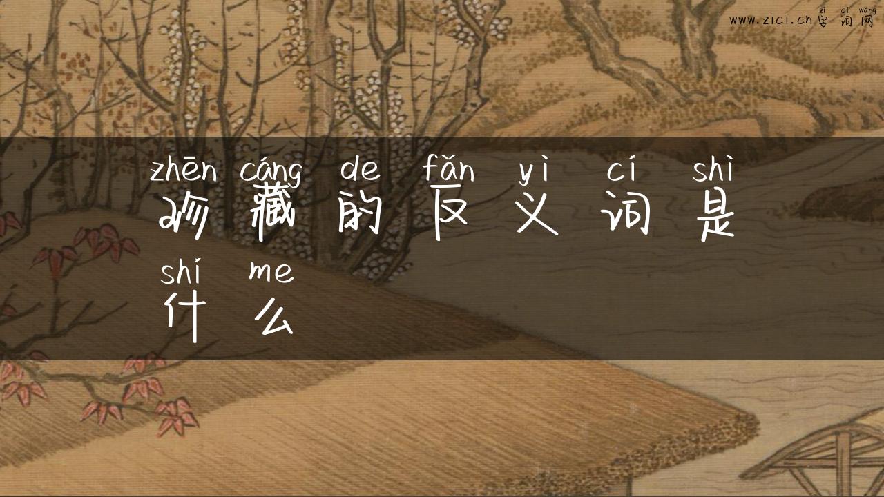 珍藏的反义词是什么