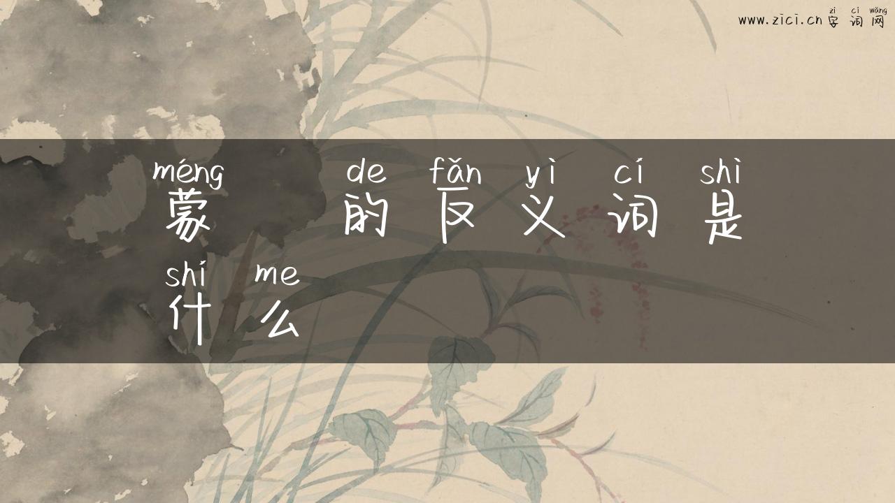 蒙眬的反义词是什么