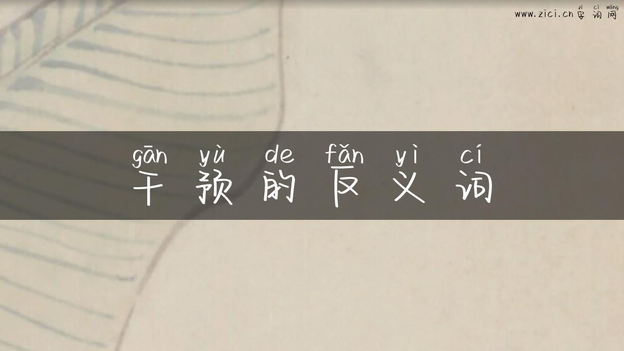 干预的反义词