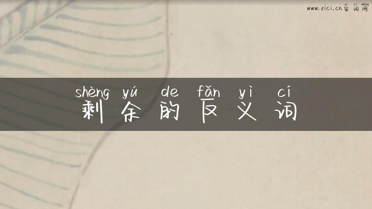 剩余的反义词