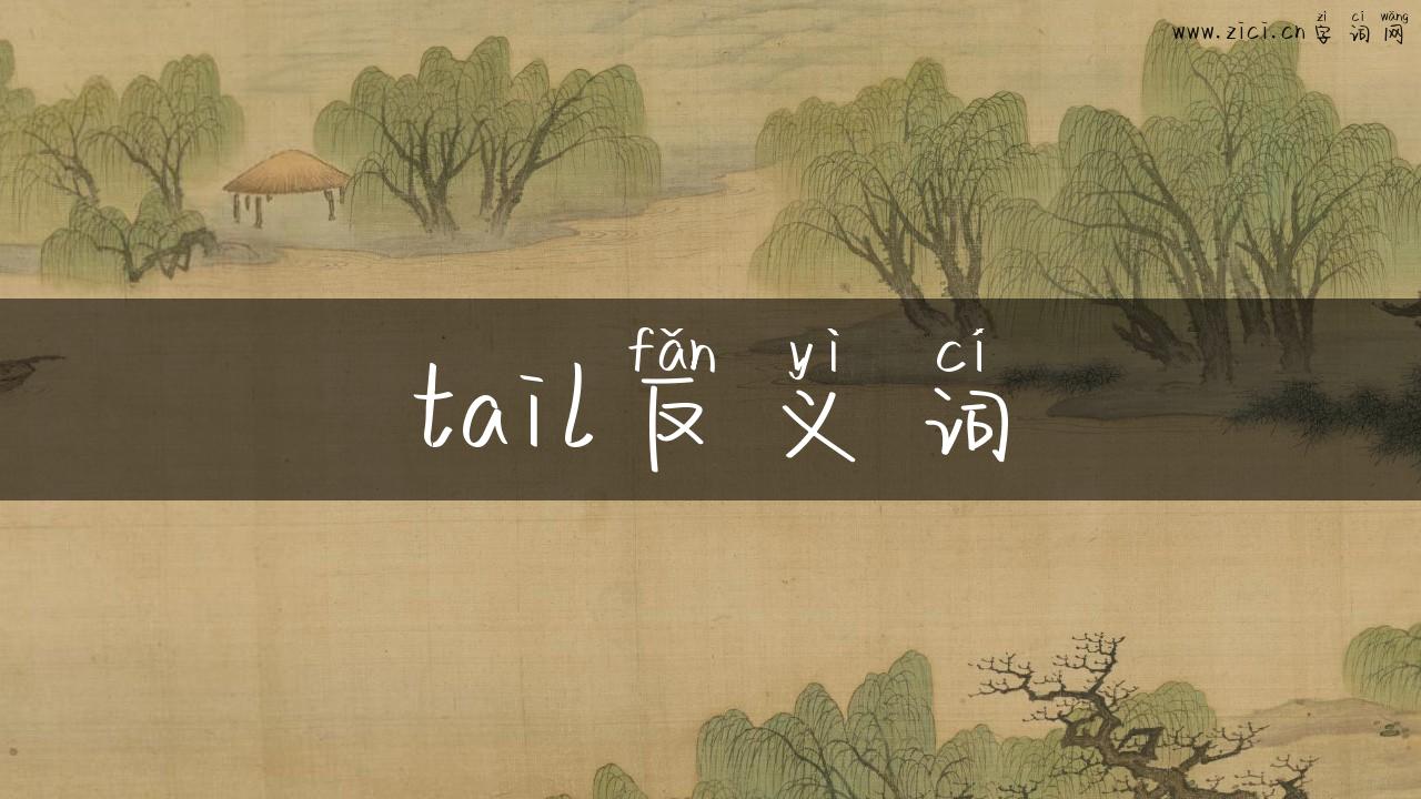 tail反义词