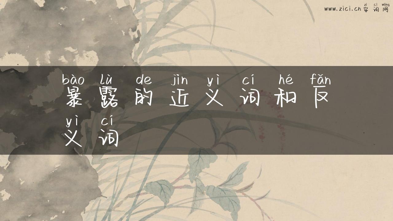 暴露的近义词和反义词