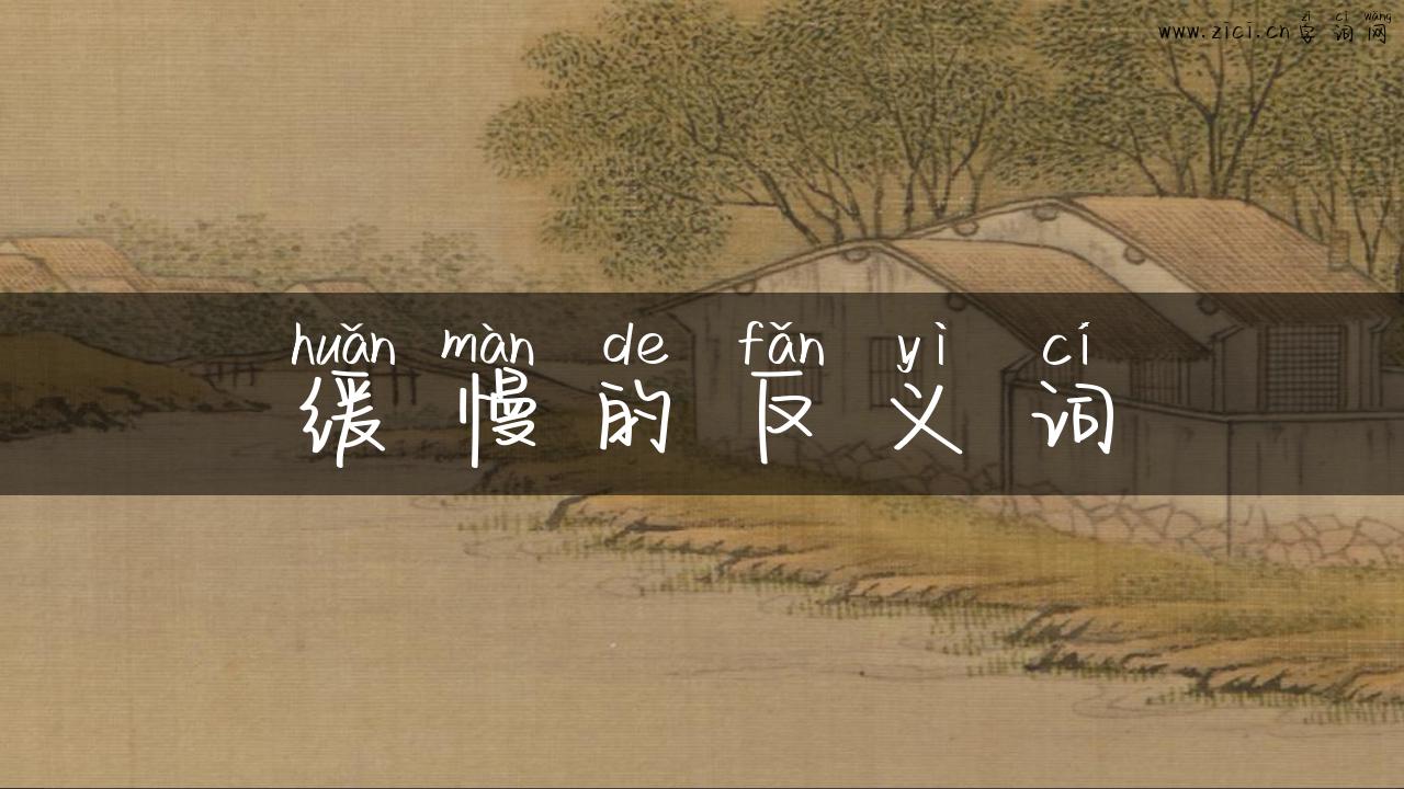 缓慢的反义词