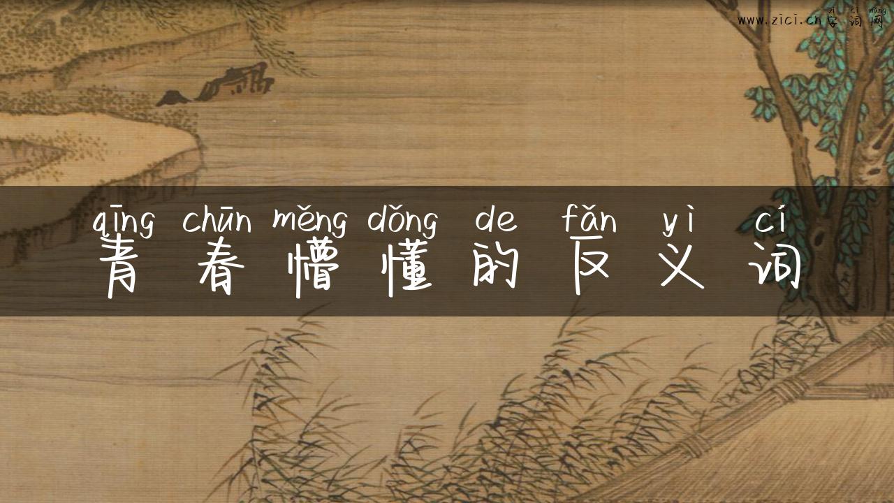 青春懵懂的反义词