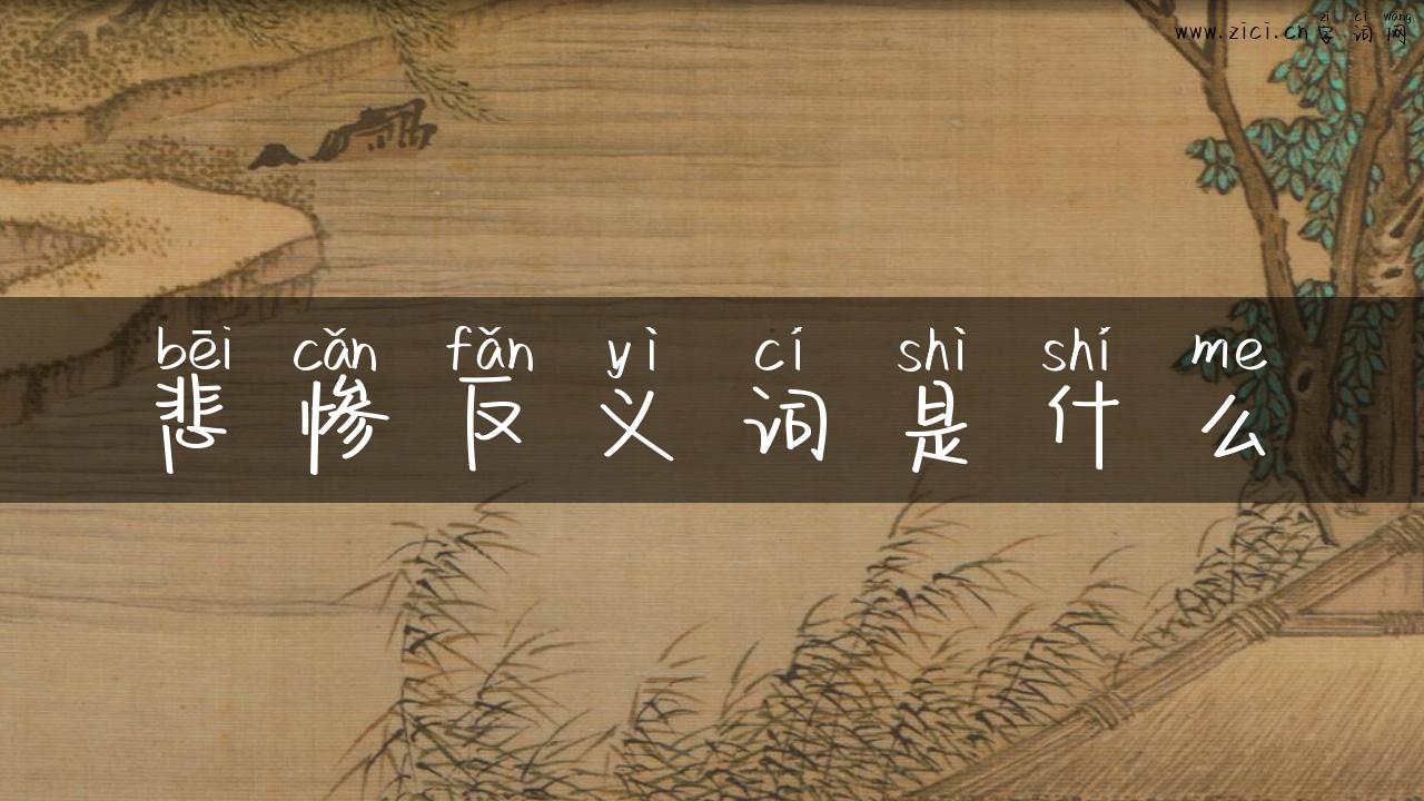 悲惨反义词是什么