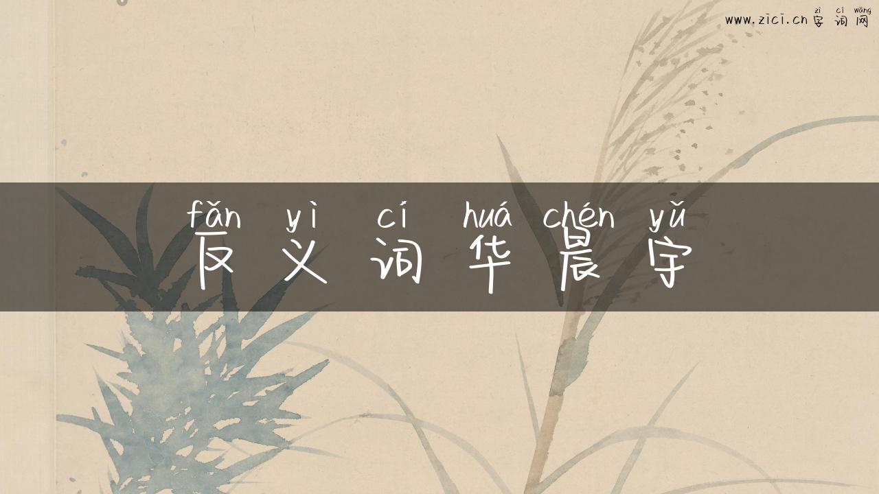 反义词华晨宇
