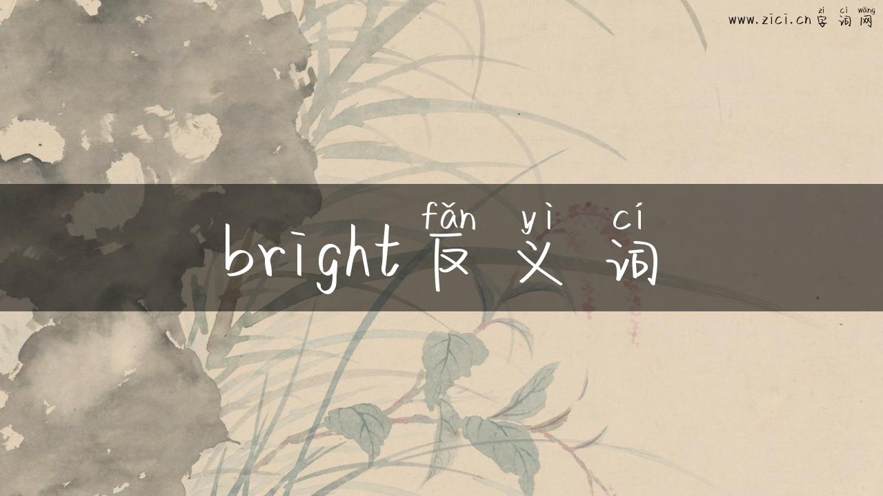 bright反义词