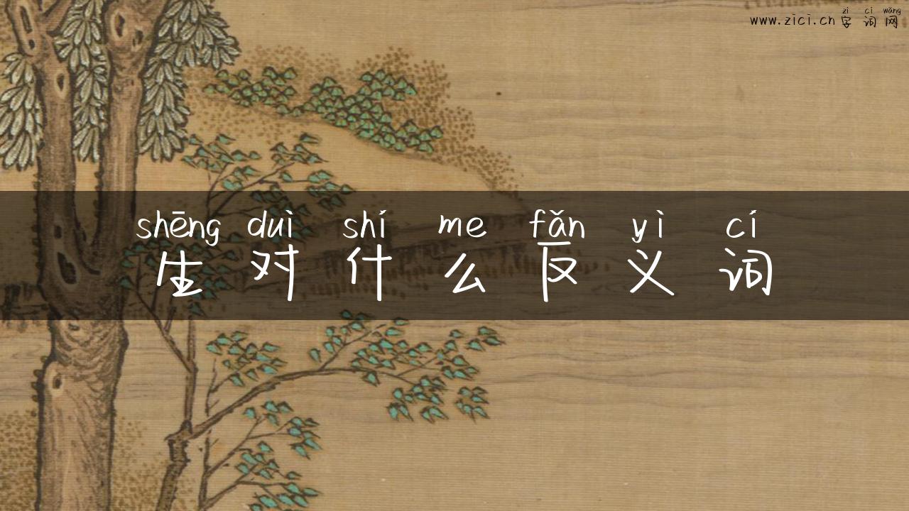 生对什么反义词