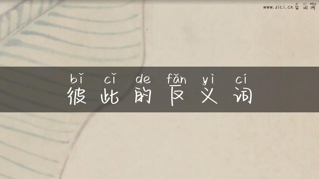 彼此的反义词
