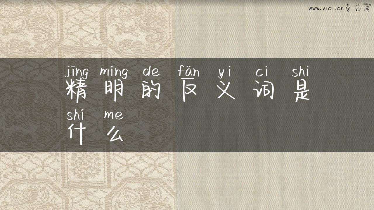 精明的反义词是什么