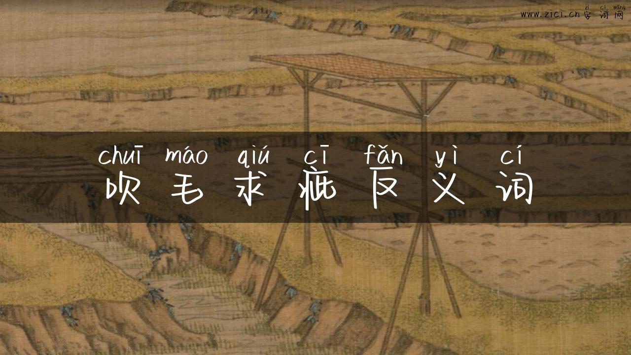 吹毛求疵反义词