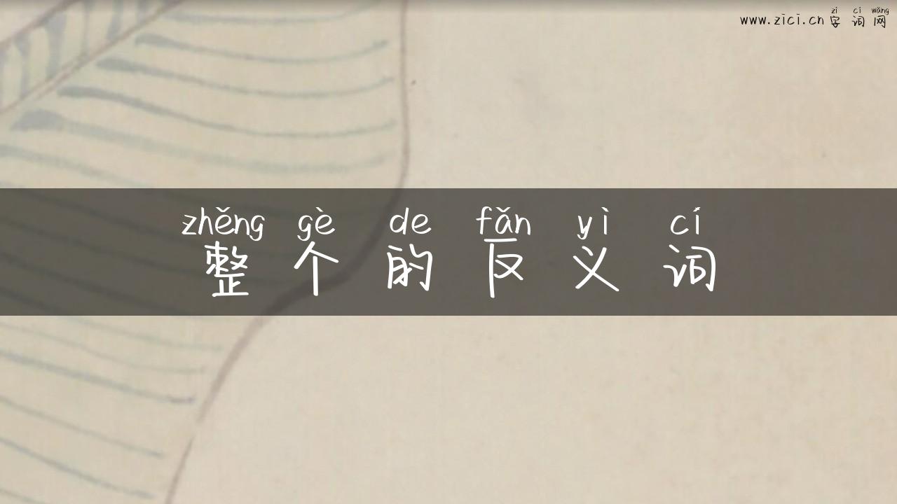 整个的反义词