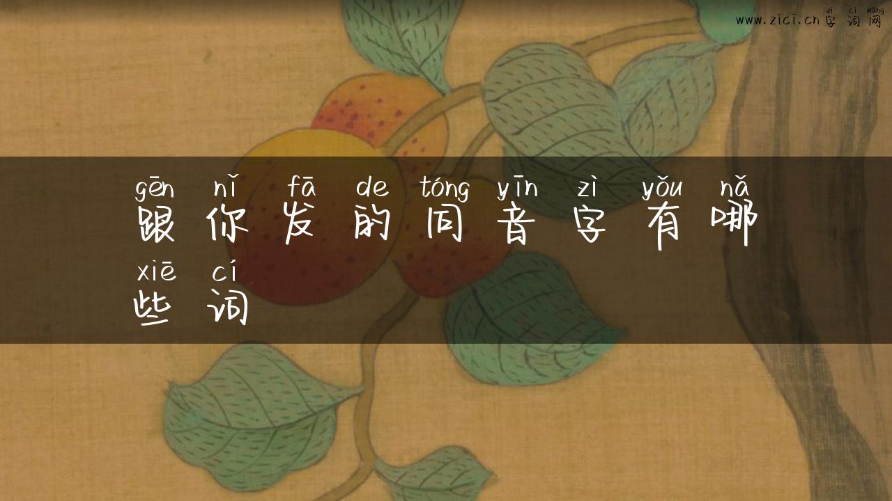 跟你发的同音字有哪些词