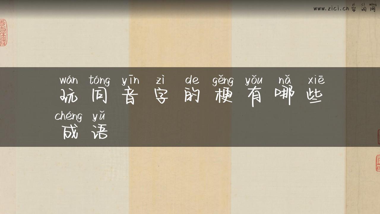 玩同音字的梗有哪些成语