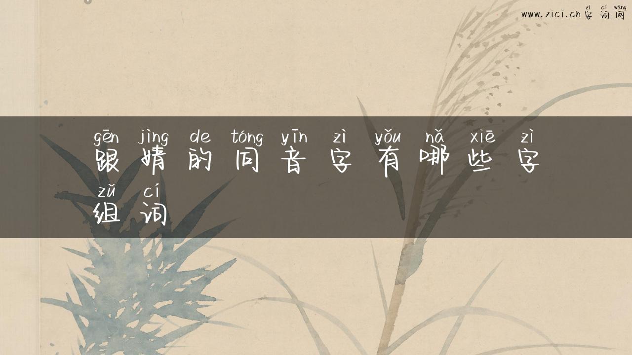 跟婧的同音字有哪些字组词