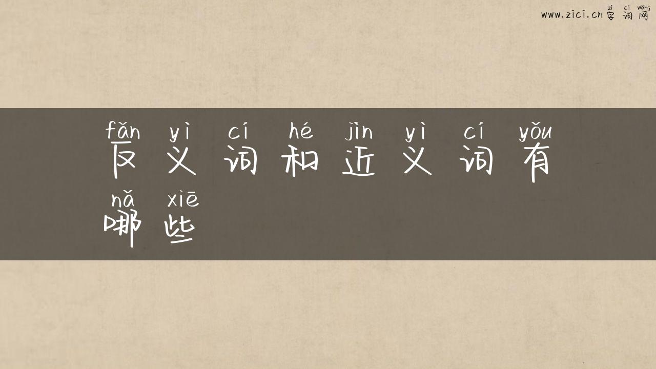 反义词和近义词有哪些