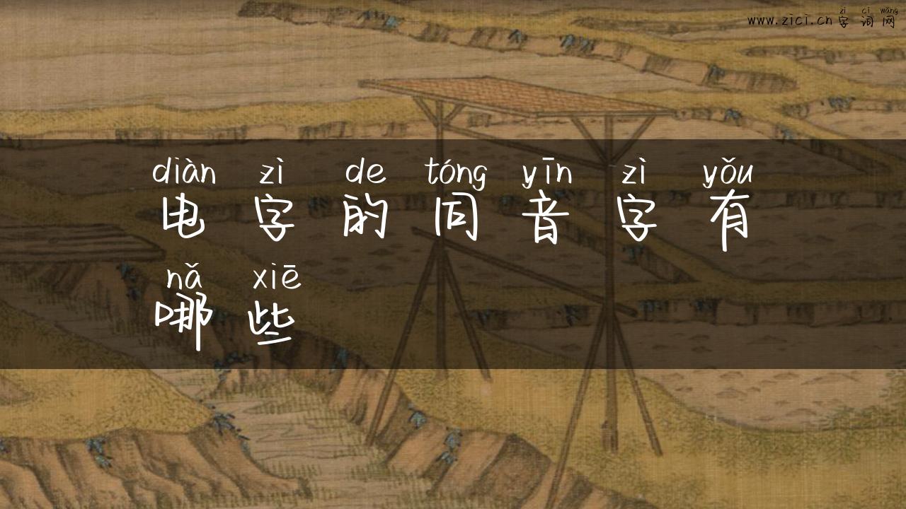 电字的同音字有哪些