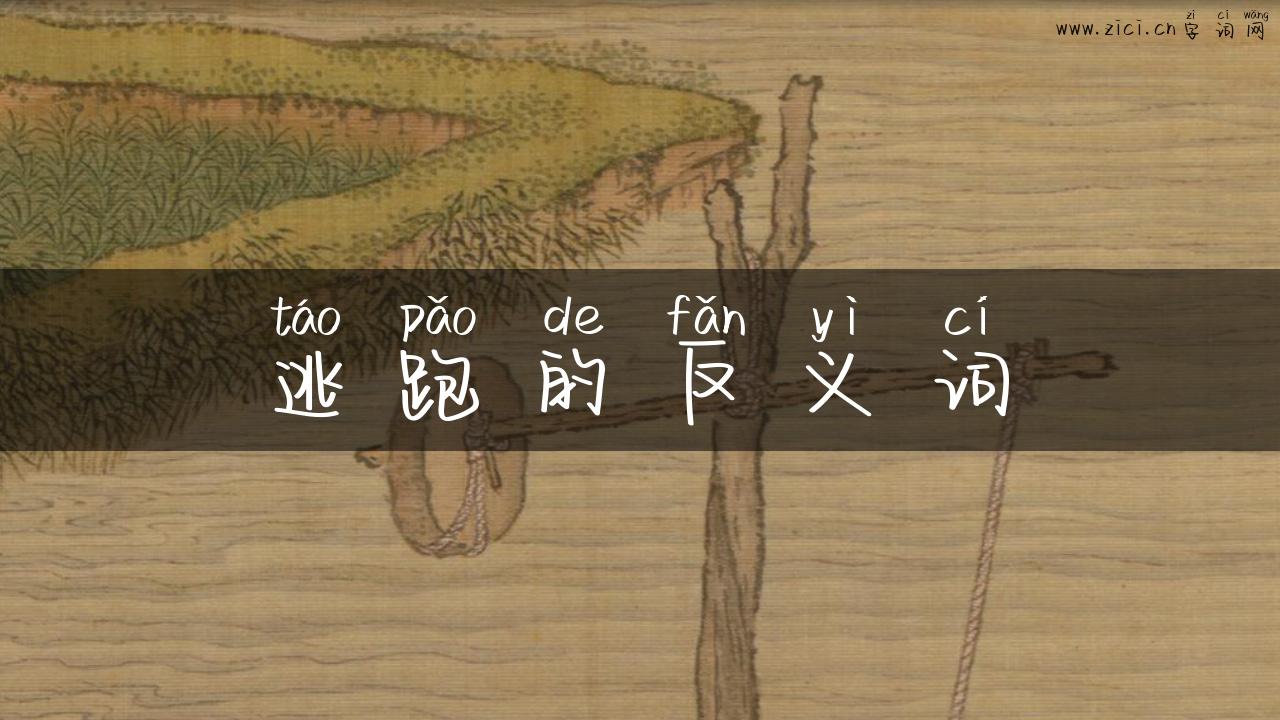 逃跑的反义词