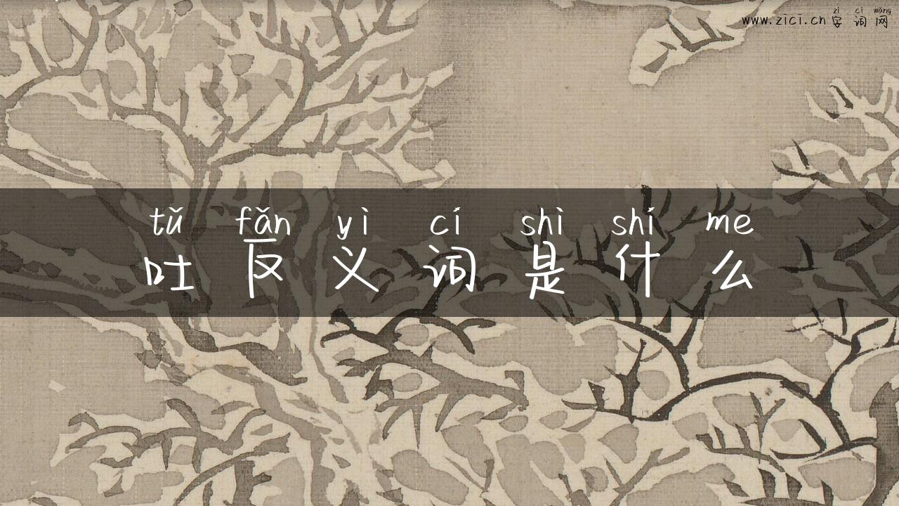 吐反义词是什么