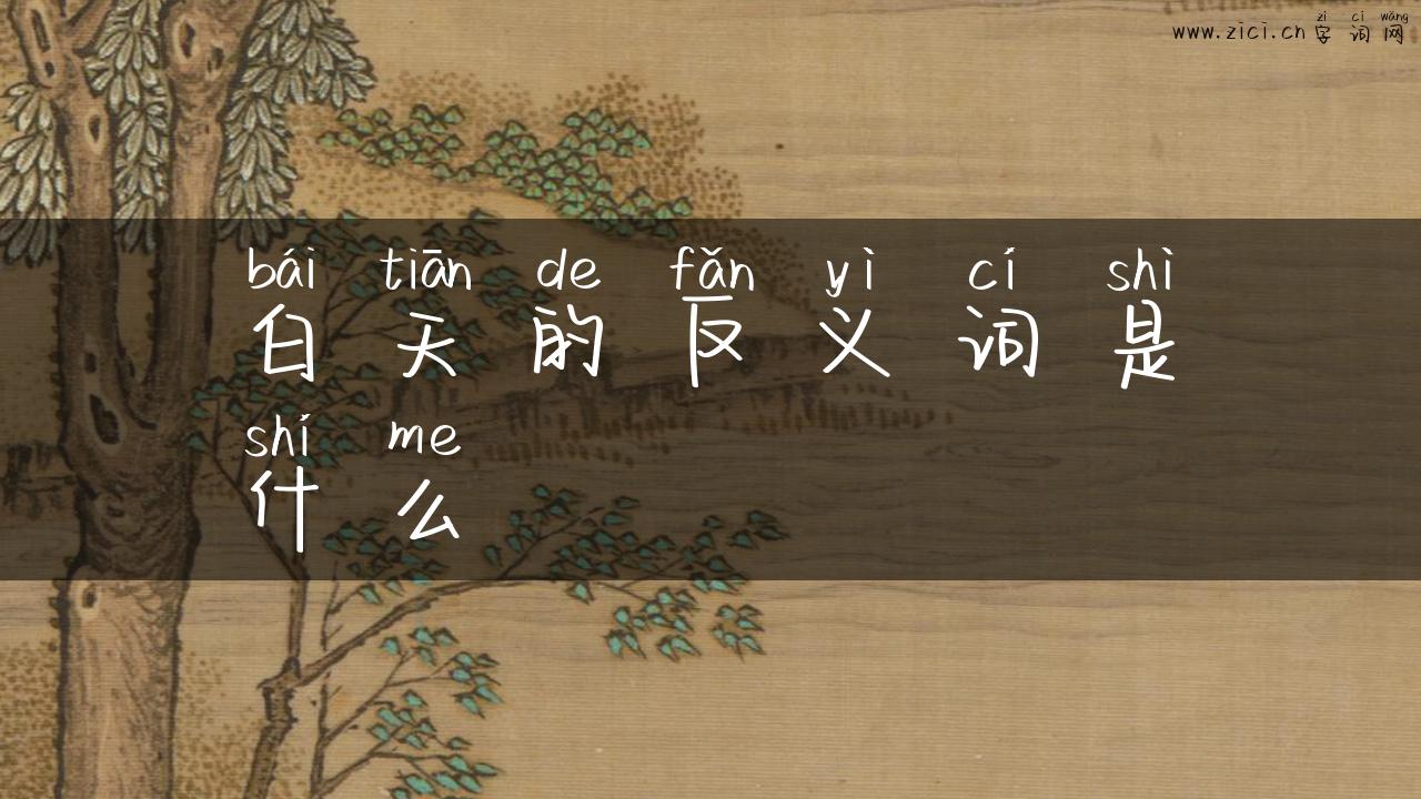 白天的反义词是什么